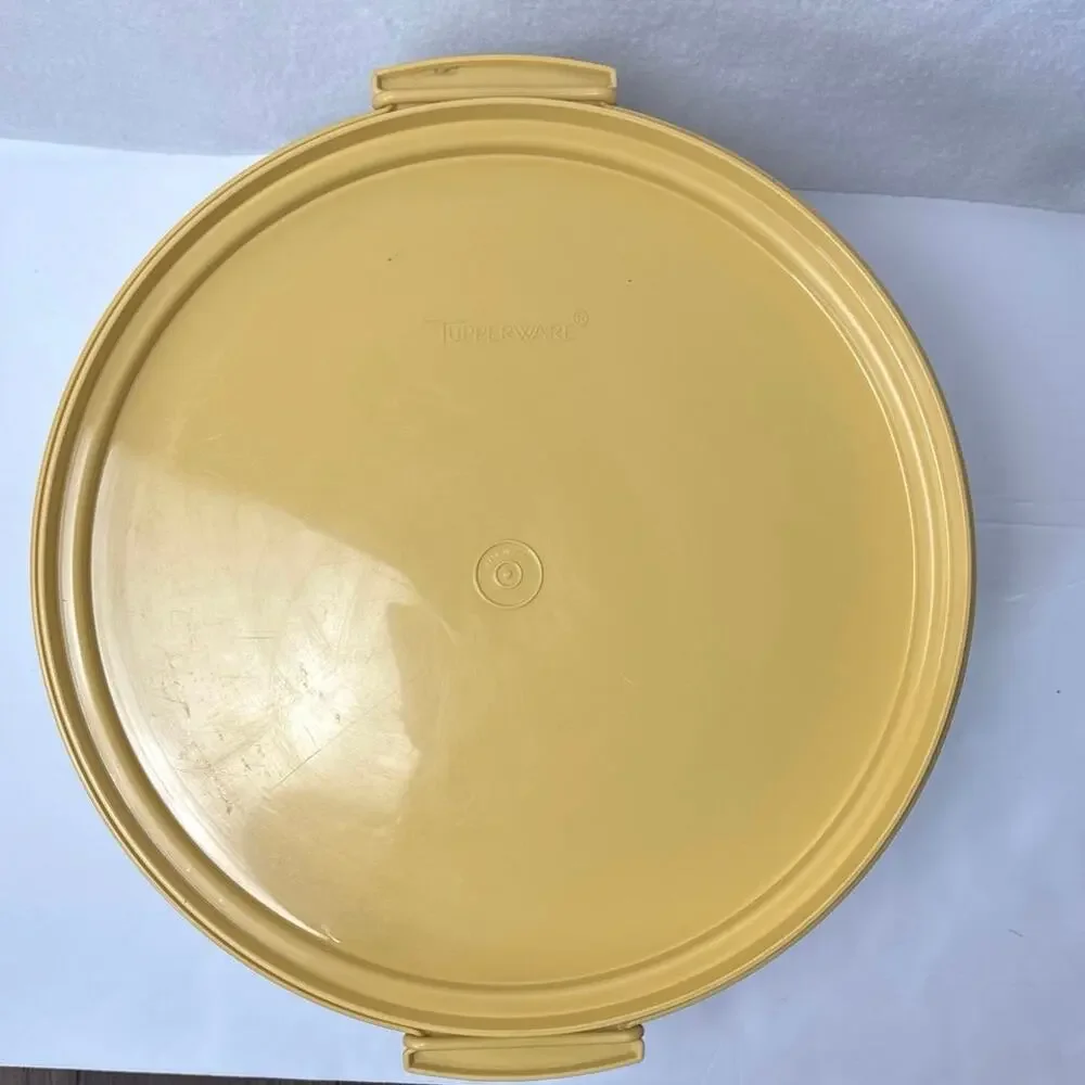 Tupperware vintage cake